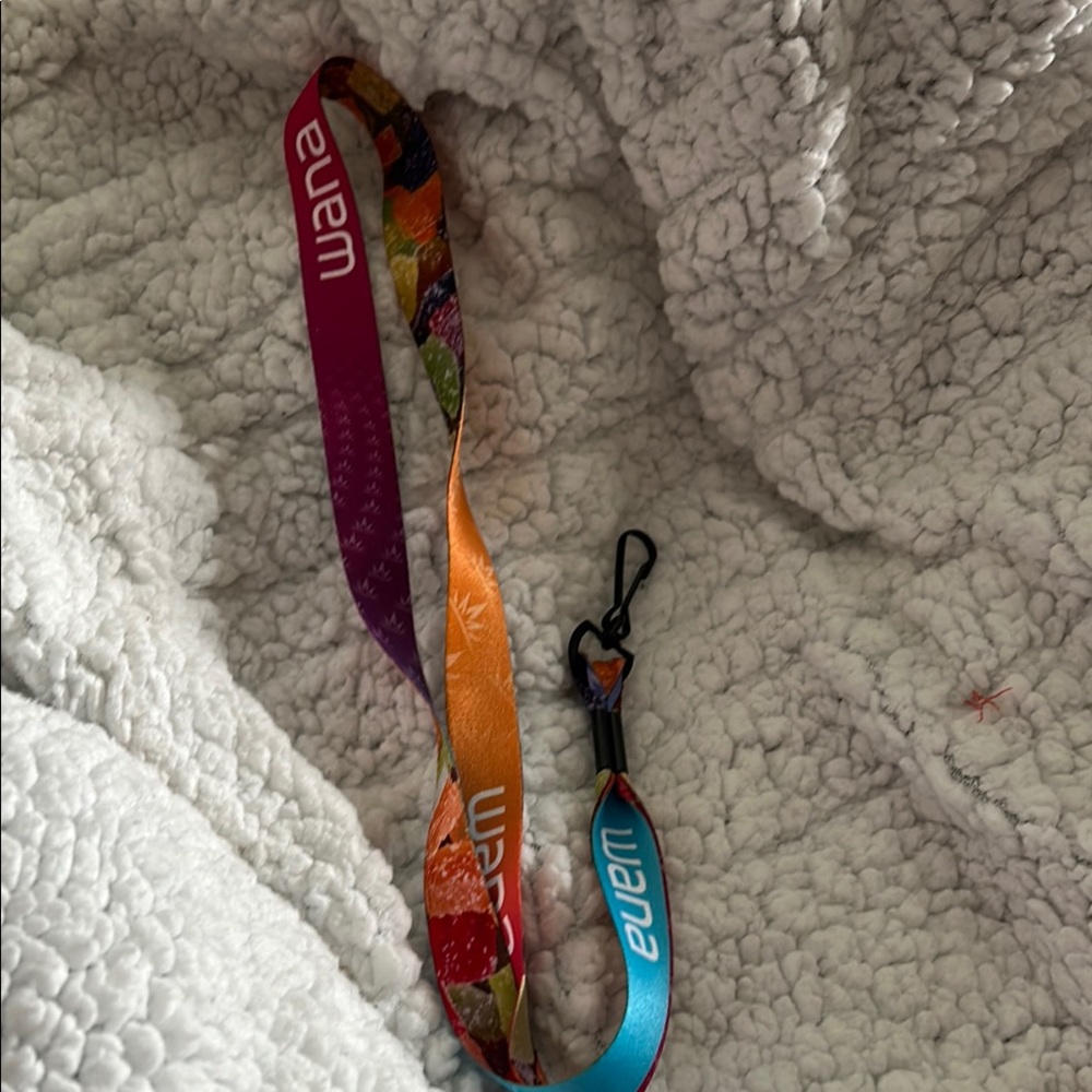Colorful Lanyard with Clip
